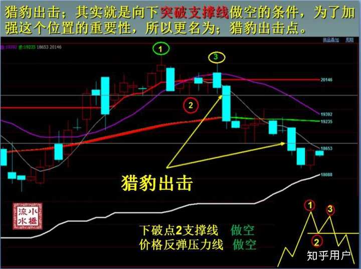 速看！“沪冷链”使用常见问题问答