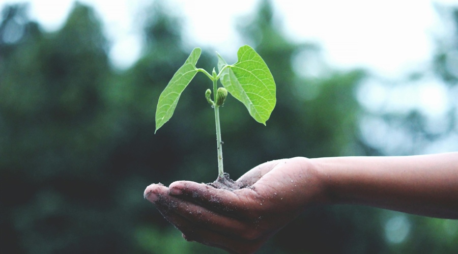 派格生物医药-B(02565)二级市场启示录：一场教科书级的“筹码重构”艺术